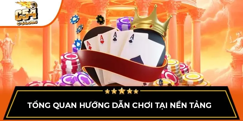 Tổng quan hướng dẫn chơi tại nền tảng